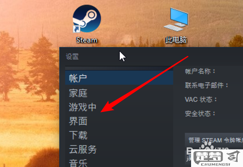 steam启动一下就关闭了