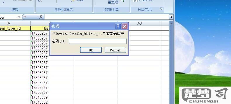 excel打开时输入密码