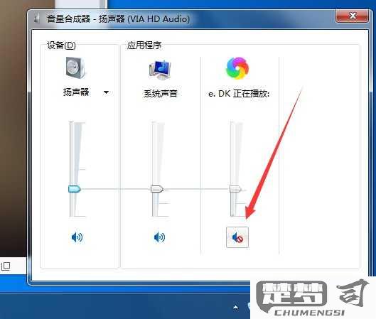 电脑分享屏幕对方听不到视频声音