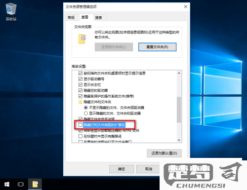 windows10显示文件扩展名