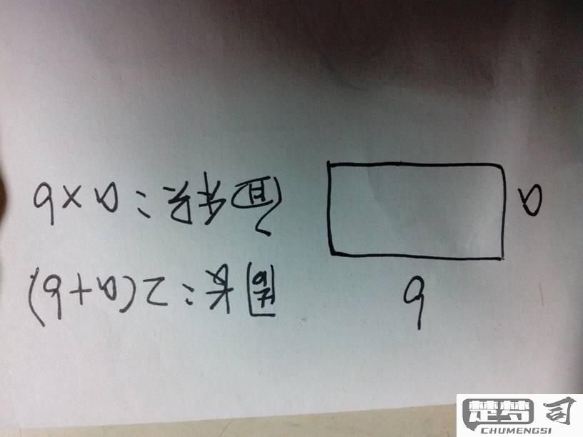 长方形的周长怎么算？计算公式与测量步骤详解