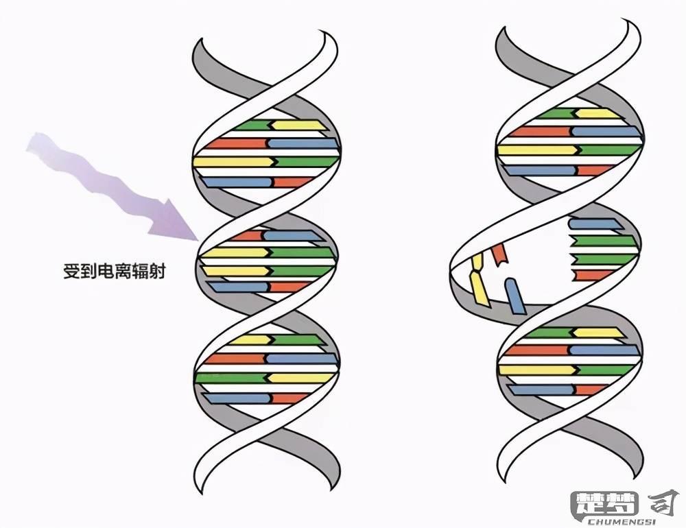 基因突变是怎么回事？原因、影响及预防方法全解析