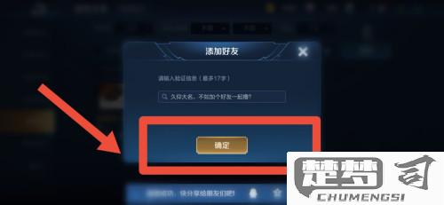 王者荣耀怎么加好友？详细步骤与限制条件解析