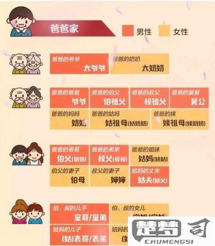 孙子的儿子怎么称呼？探索中文亲属称谓的正确用法