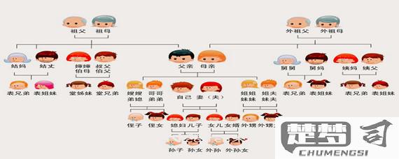 弟弟的女儿怎么称呼？中文亲属称谓全解析