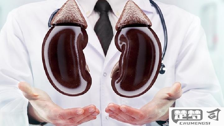 膜性肾病是怎么回事？早期症状、最佳治疗方法及饮食注意事项