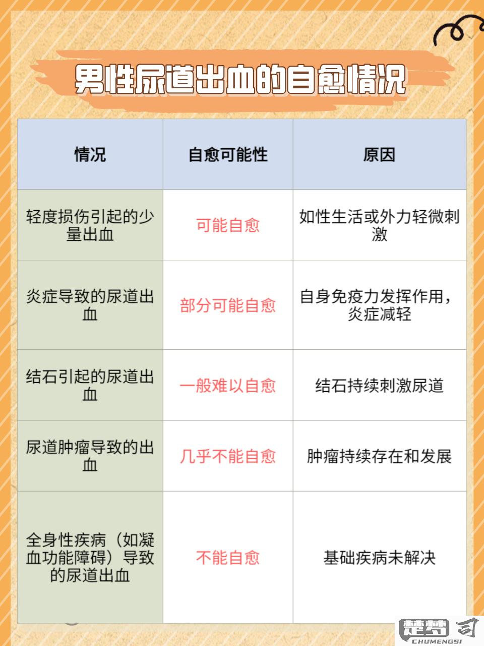尿道出血是怎么回事？可能的原因及治疗方法全解析