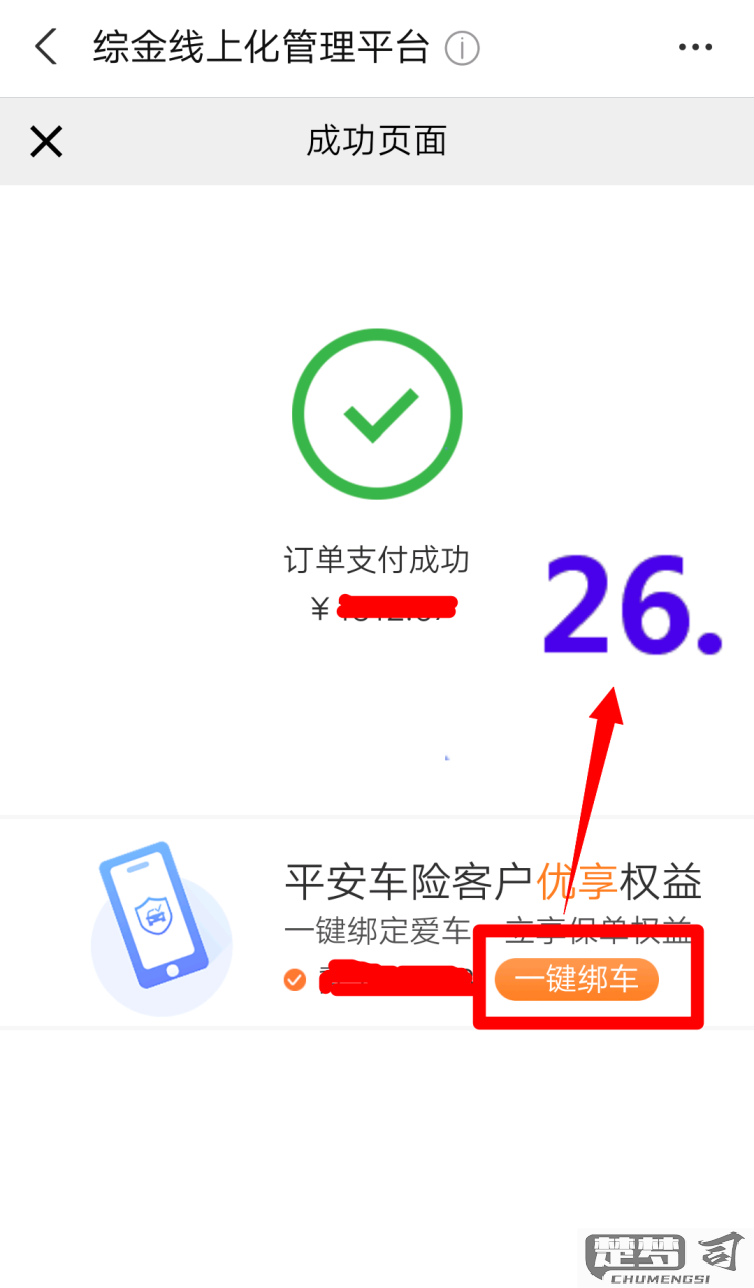 手机上怎么交车保险？完整操作指南与安全建议