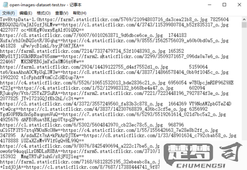 TSV文件怎么打开？完整指南与解决方案