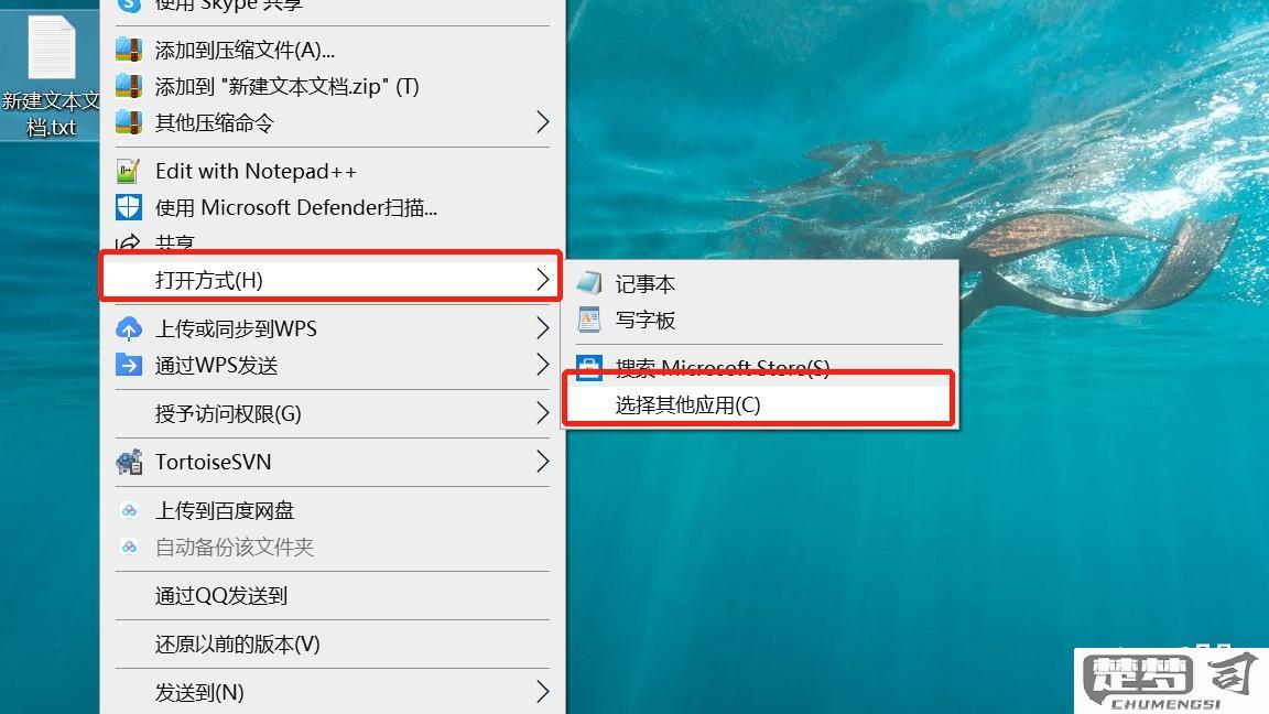 pak文件怎么打开？完整指南与工具推荐