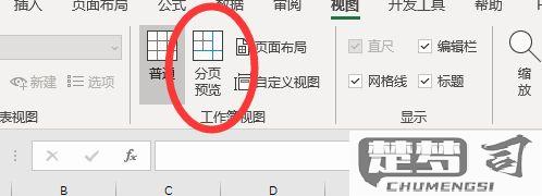 如何在Microsoft Word和Excel中删除分页符？
