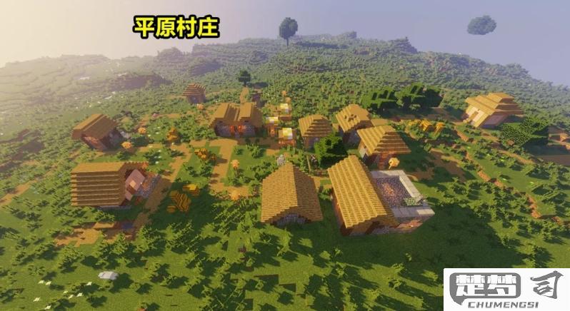 我的世界怎么找村庄？高效方法与实用技巧全解析