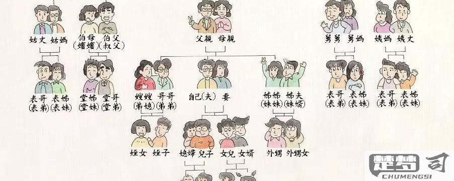弟弟的儿子怎么称呼？中文亲属称谓全解析