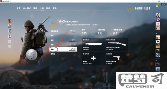 战地1怎么设置中文？详细步骤与解决方案