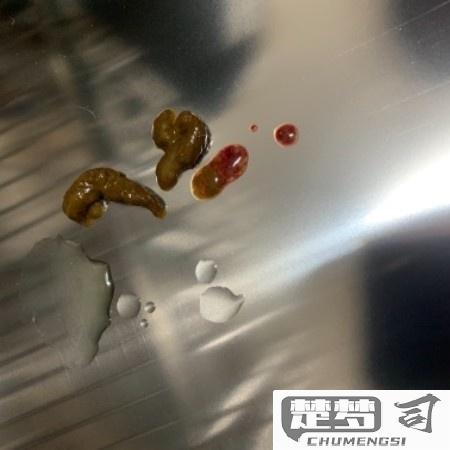 狗狗便血是怎么回事？可能的原因及紧急处理方法