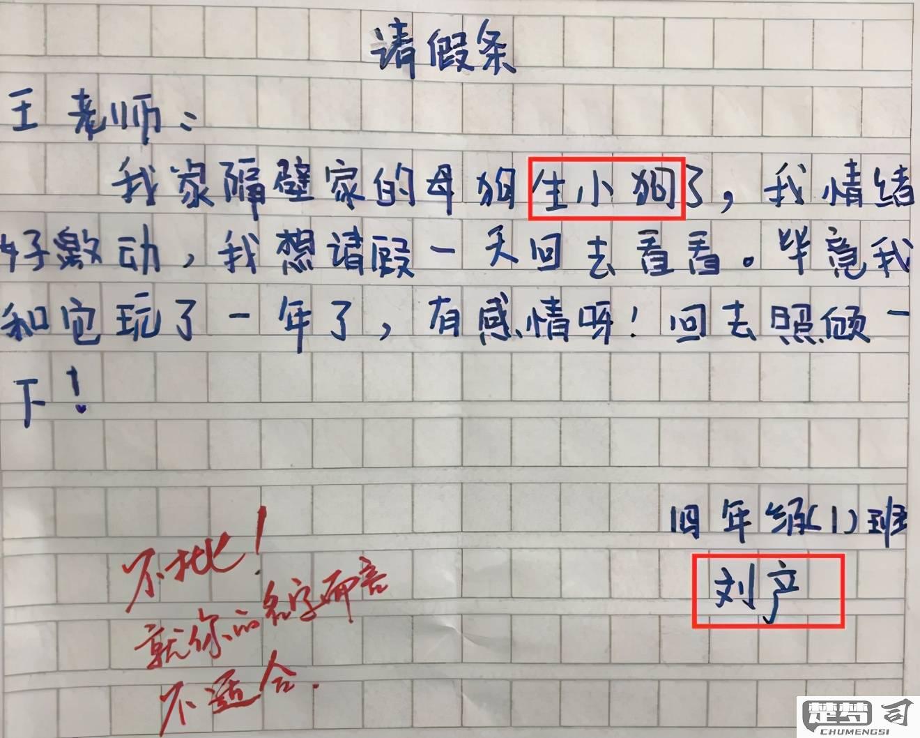 小学生请假条怎么写？标准格式与模板全解析