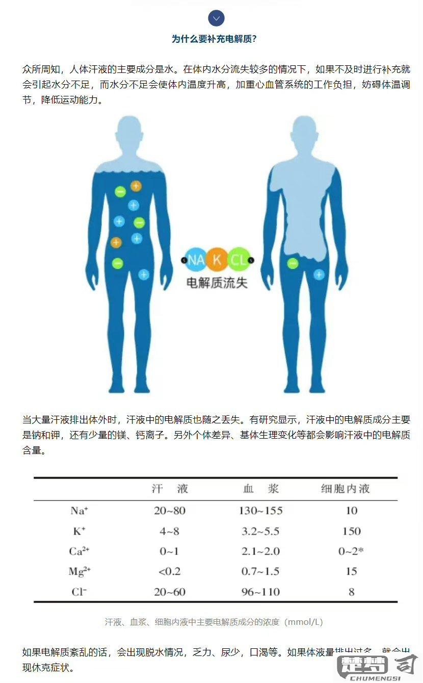 人体电解质怎么补充？科学方法与最佳时间全解析