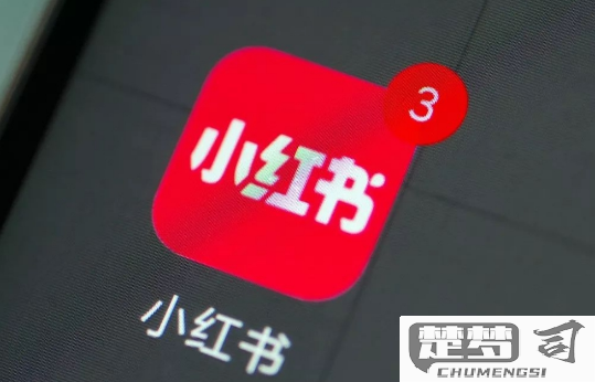 小红书怎么下载视频？手机端和电脑端的详细步骤解析