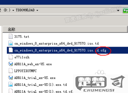 cfg文件怎么打开？详细教程与编辑指南