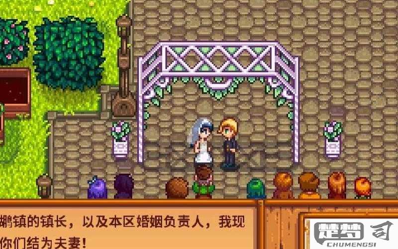 星露谷物语怎么结婚？详细步骤与条件解析