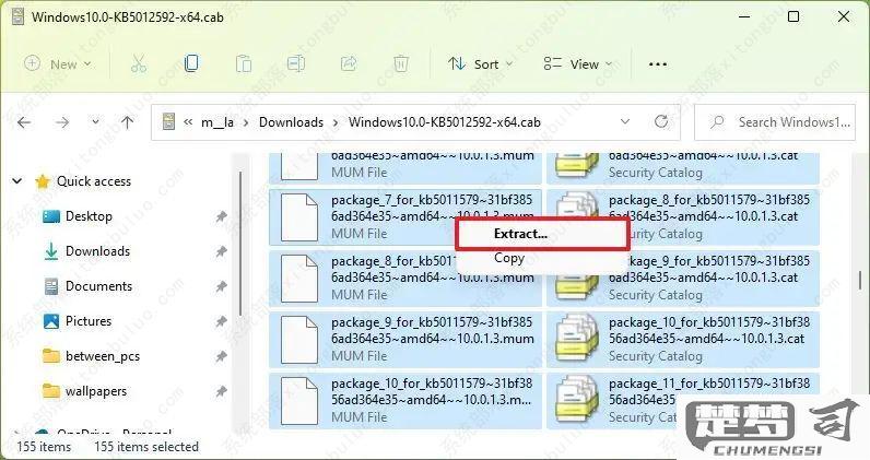 cab文件怎么安装？Windows系统中安装cab文件的完整指南