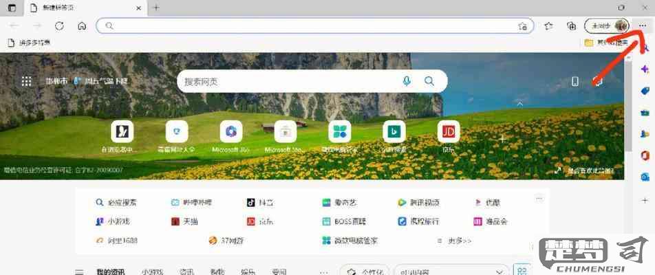 老司机浏览器怎么用？详细使用指南与技巧分享