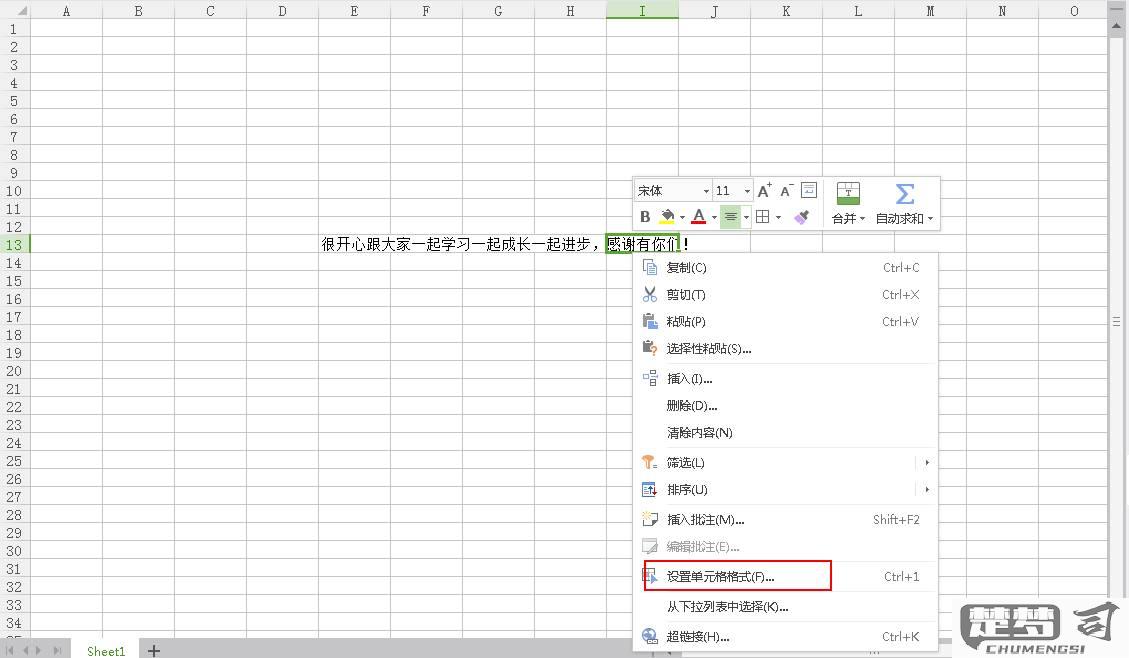 wps表格怎么换行？详细操作步骤与技巧分享