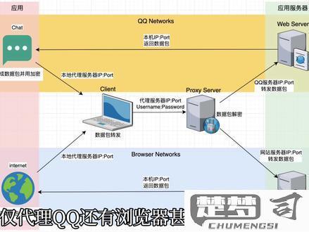 代理服务器怎么设置？Windows、macOS及移动设备详细指南