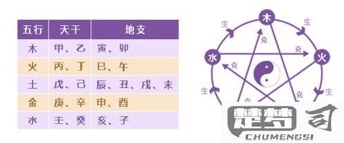 怎么看自己是什么命？八字算命、五行属性查询与生肖命理分析全指南