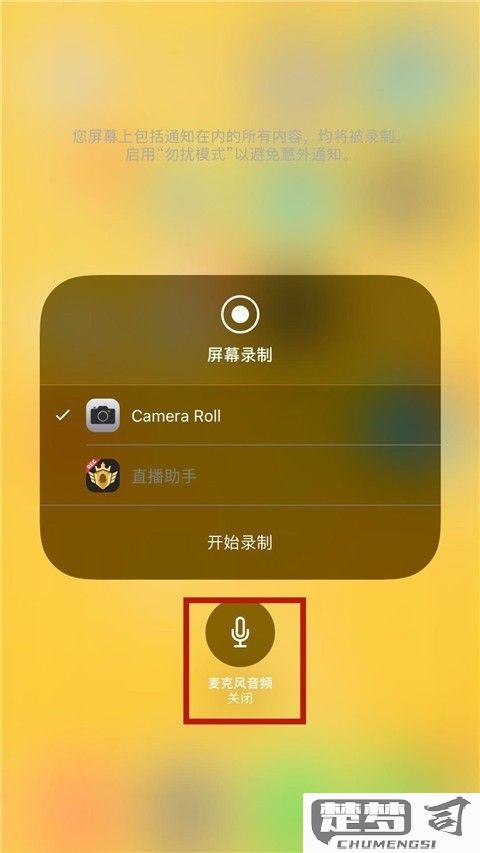 苹果手机录屏怎么录？完整操作指南与常见问题解答