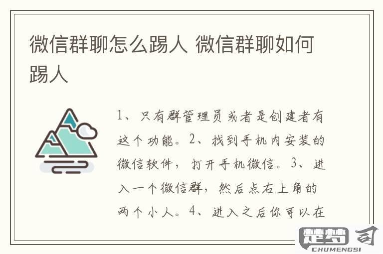 微信群怎么踢人出群？详细操作步骤与注意事项