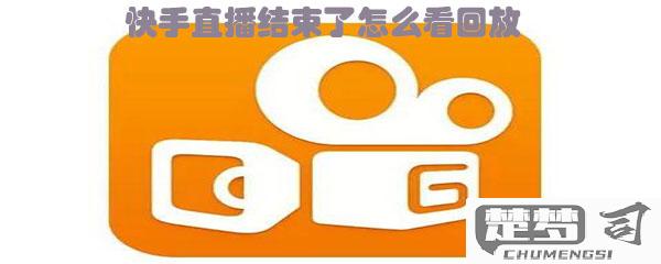快手怎么看直播回放？完整步骤与技巧分享
