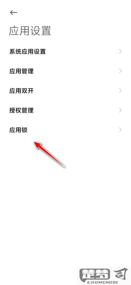 怎么给应用设置密码？详细步骤与解决方案