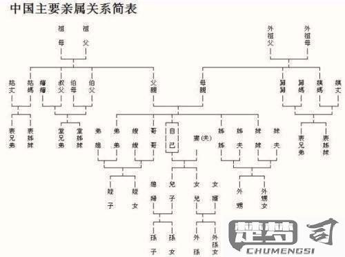 表弟的老婆怎么称呼？中国传统与现代称呼全解析
