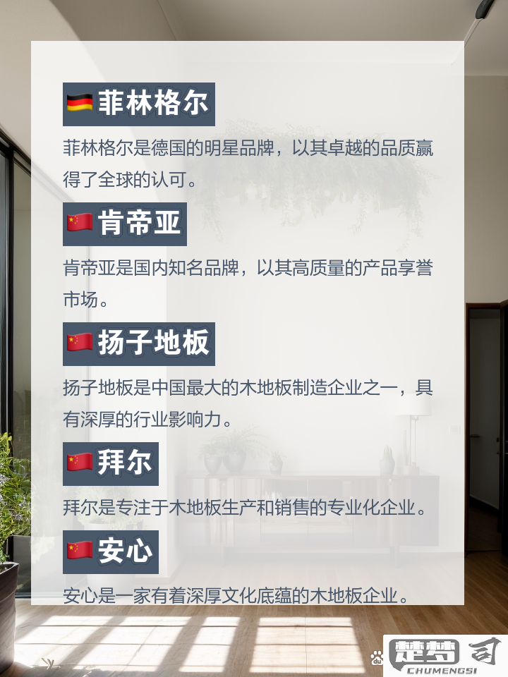 菲林格尔地板怎么样？深度解析其优缺点与价格范围