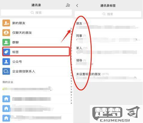 微信怎么看共同好友？详细步骤与技巧分享