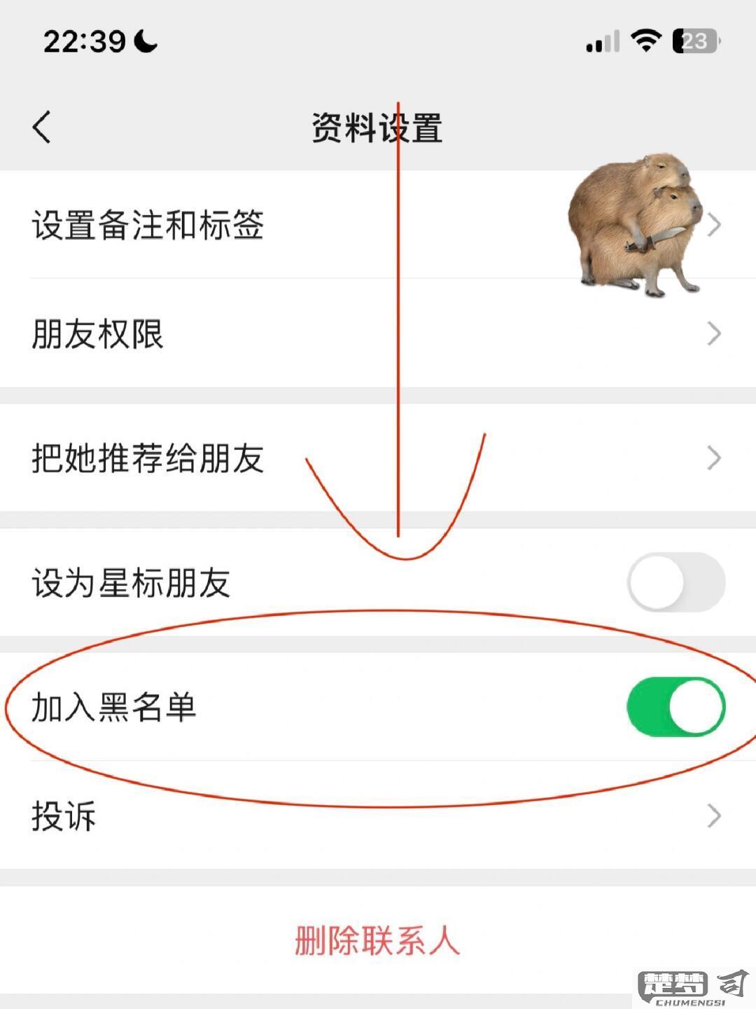 微信黑名单怎么解除？详细步骤与注意事项