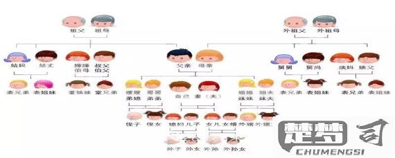 爸爸的兄弟怎么称呼？中国传统亲属称谓详解