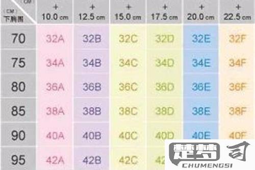 abcd罩杯怎么分？详细测量方法与选择指南