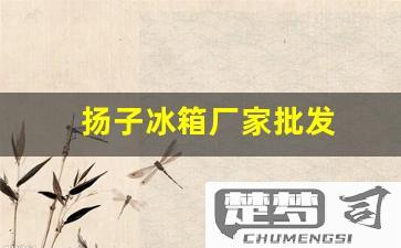 扬子冰箱质量怎么样？全面解析扬子冰箱的性能与售后服务
