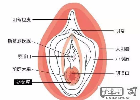 怎么知道处女膜破了？处女膜破裂的判断方法与注意事项
