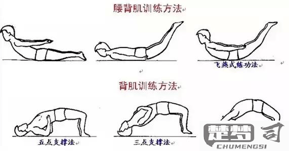 腰间盘突出怎么缓解？有效的物理治疗与运动康复方法
