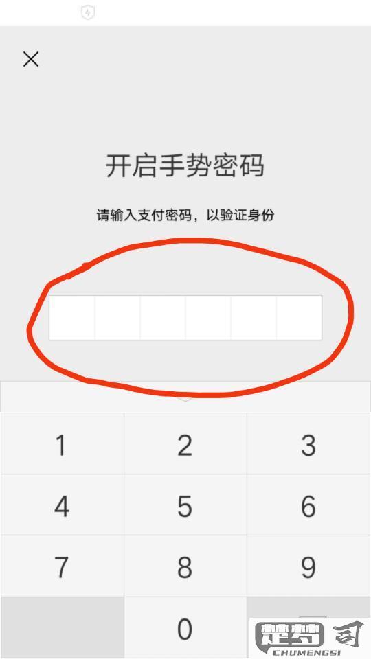 微信钱包锁怎么设置？详细步骤与问题解决指南