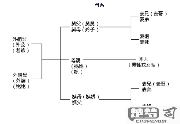 亲家的父母怎么称呼？中国传统与现代称呼礼仪全解析