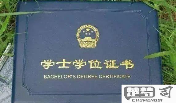 没有学位证怎么补救？详细指南与解决方案