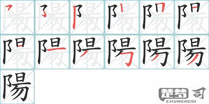 阳的笔画顺序怎么写？详细步骤与书写要点解析