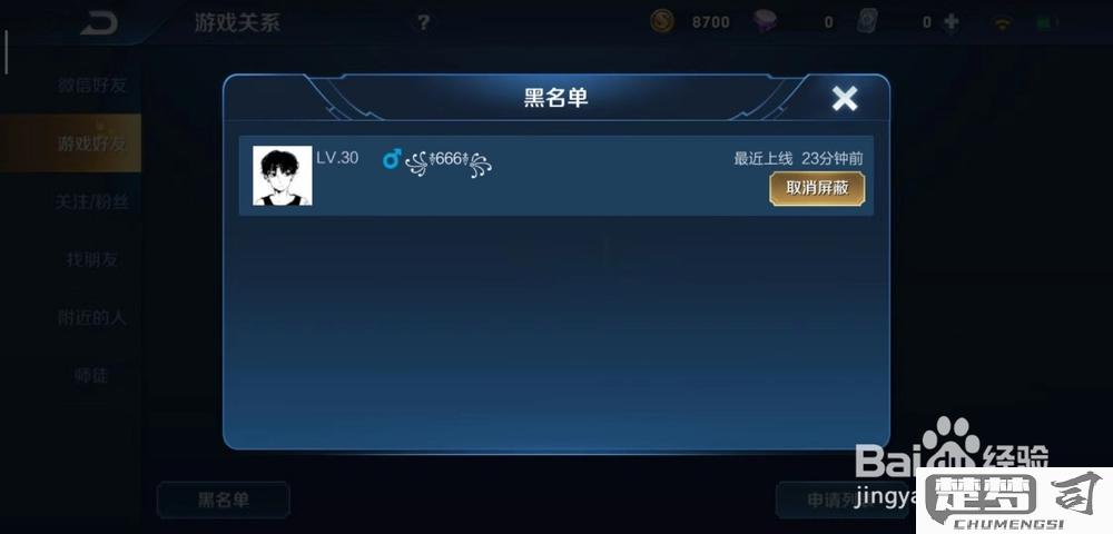 王者怎么拉黑陌生人？详细操作步骤与注意事项