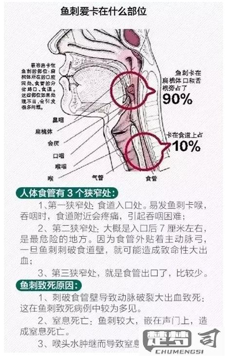 喉咙卡了鱼刺怎么办？快速取出与正确急救方法