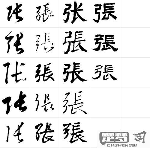 张的笔画顺序怎么写？详细步骤与练习建议