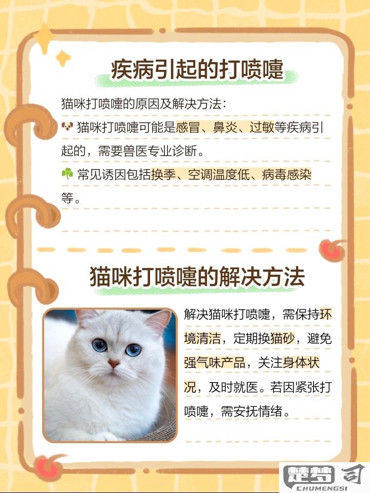 猫咪老打喷嚏怎么办？原因与家庭护理全指南